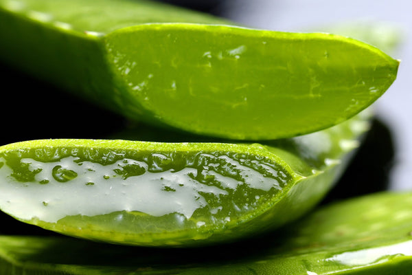 The Benefits of Aloe Vera in Skincare and Beauty