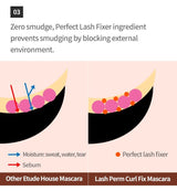 Lash Perm Curl Fix Mascara (1pc)