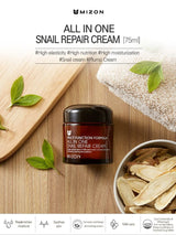 All In One Snail Repair Cream (75ml)
