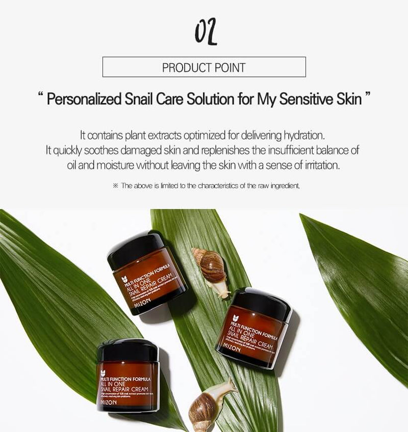 All In One Snail Repair Cream (75ml)