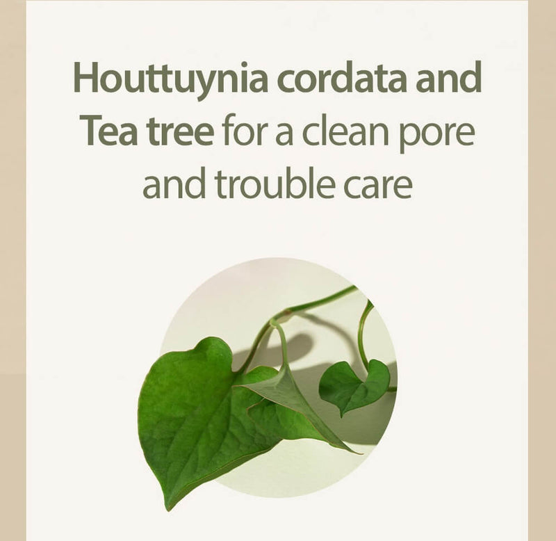 Houttuynia Cordata + Tea Tree Serum (30ml)