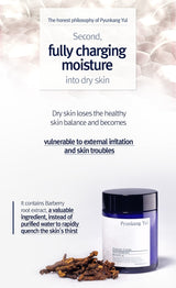 Moisture Cream (100ml)